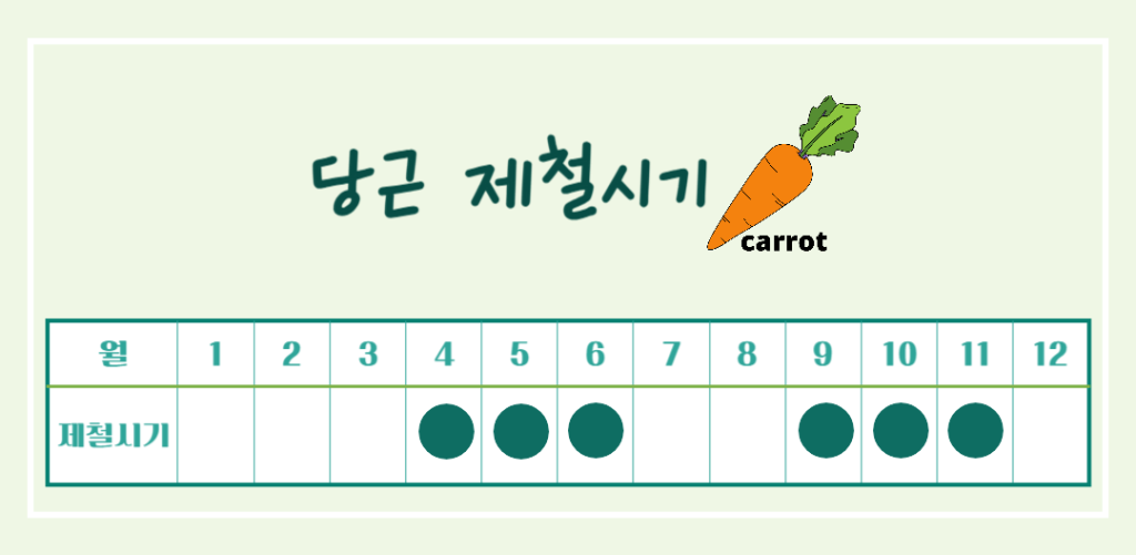 주황색의 마법채소 당근의 효능 칼로리 : 베타카로틴의 건강 비밀