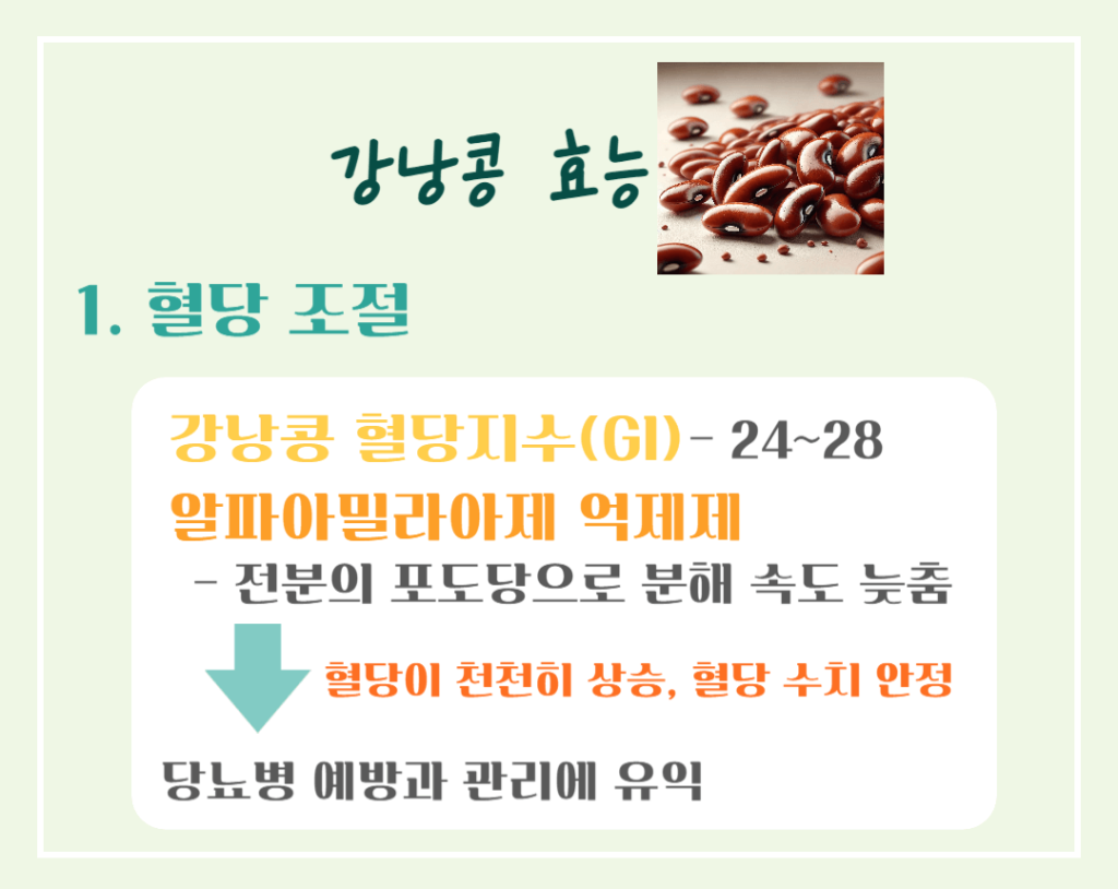 하루 한줌의 건강! 강낭콩 효능 칼로리 : 몸에 주는 7가지 이점