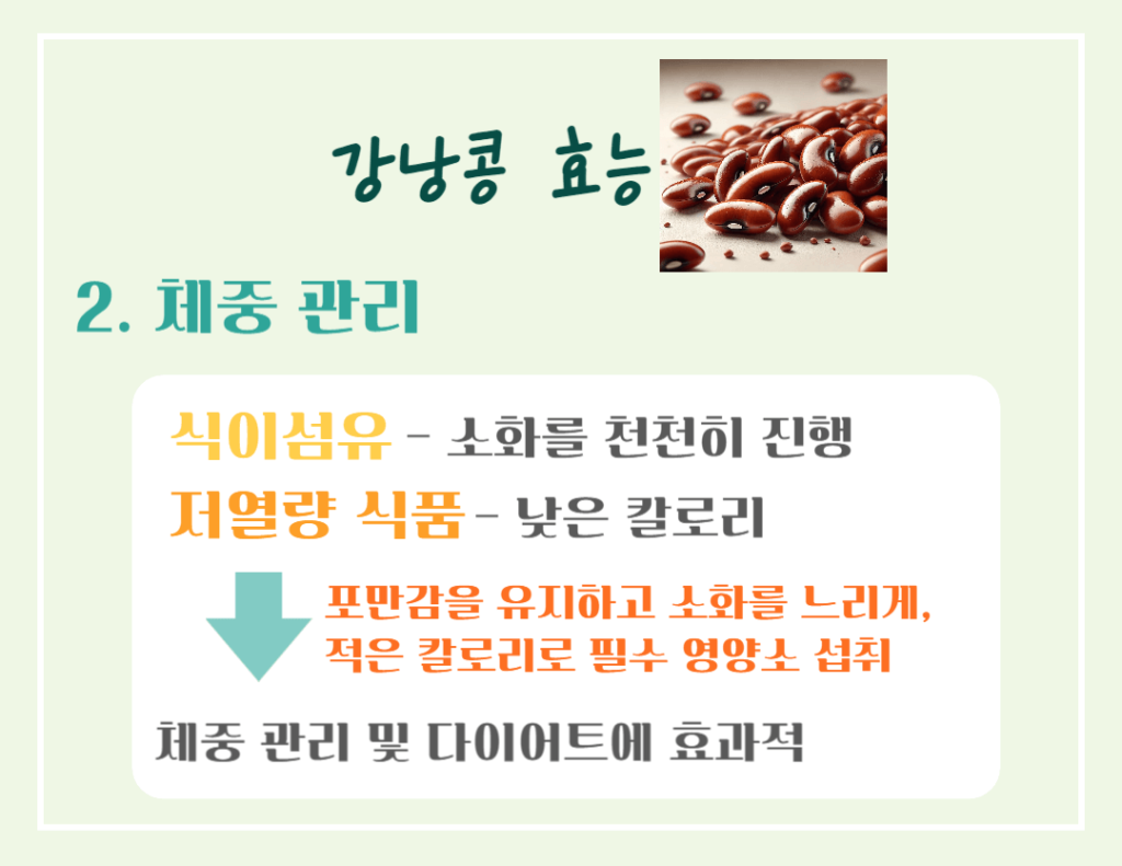하루 한줌의 건강! 강낭콩 효능 칼로리 : 몸에 주는 7가지 이점