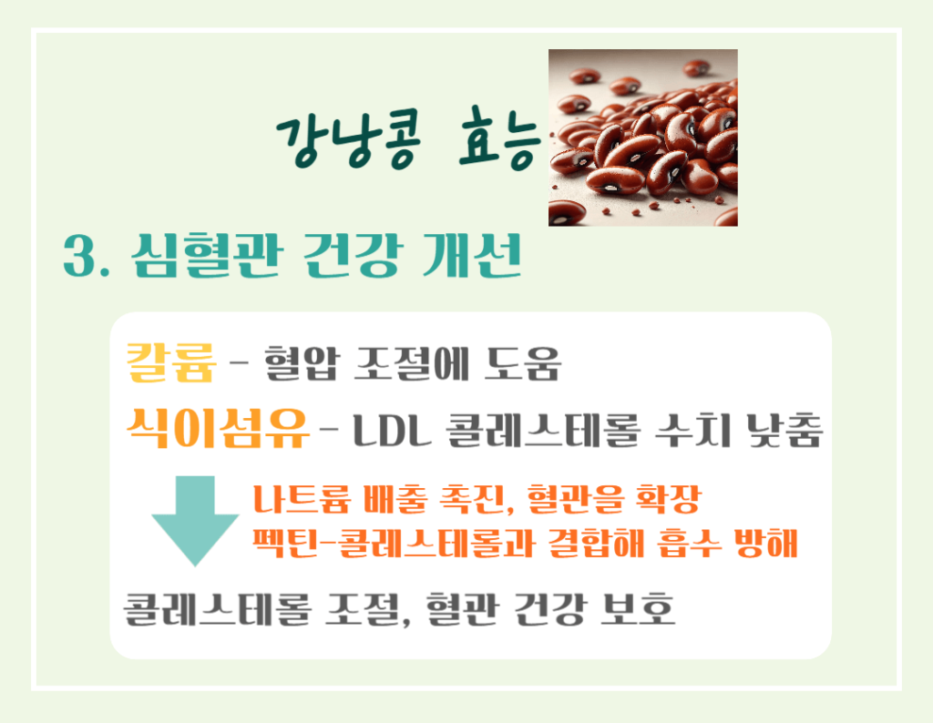 하루 한줌의 건강! 강낭콩 효능 칼로리 : 몸에 주는 7가지 이점