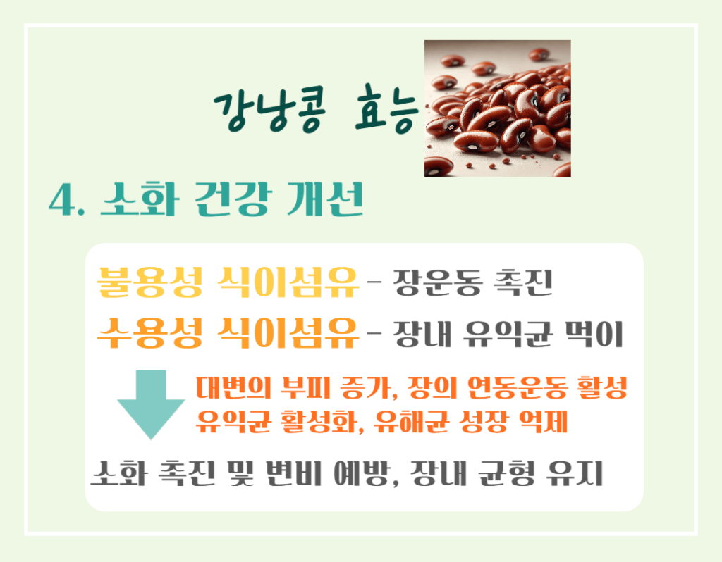 하루 한줌의 건강! 강낭콩 효능 칼로리 : 몸에 주는 7가지 이점