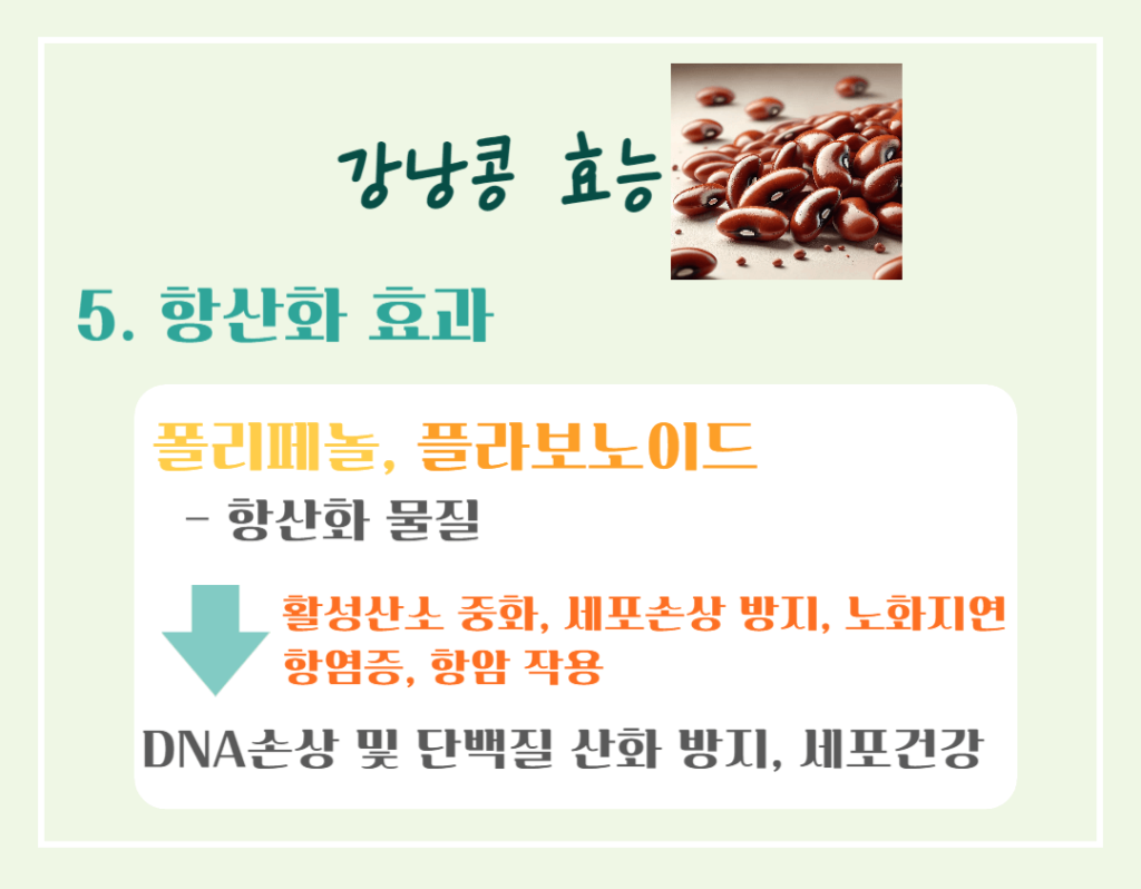 하루 한줌의 건강! 강낭콩 효능 칼로리 : 몸에 주는 7가지 이점
