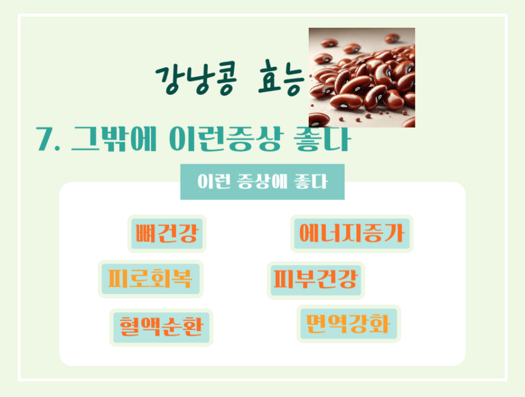 하루 한줌의 건강! 강낭콩 효능 칼로리 : 몸에 주는 7가지 이점