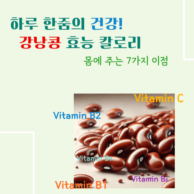 하루 한줌의 건강! 강낭콩 효능 칼로리 : 몸에 주는 7가지 이점