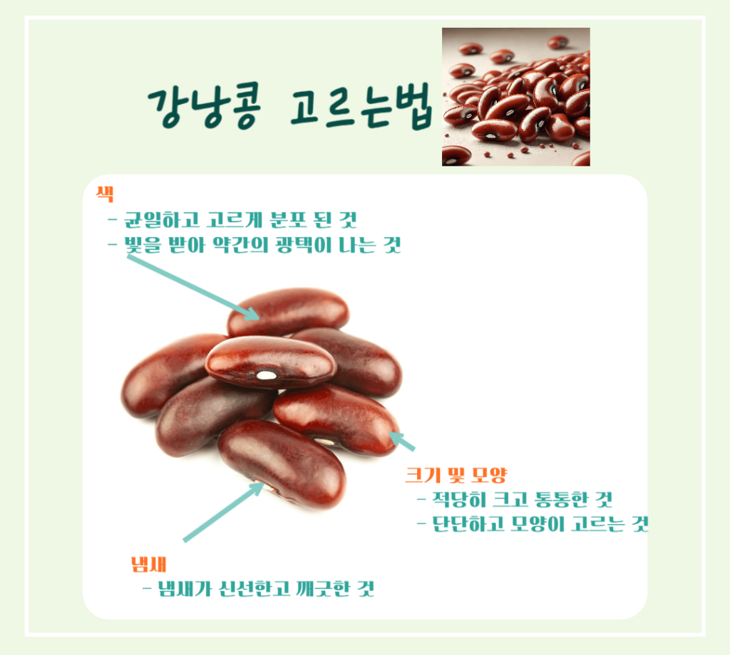 하루 한줌의 건강! 강낭콩 효능 칼로리 : 몸에 주는 7가지 이점