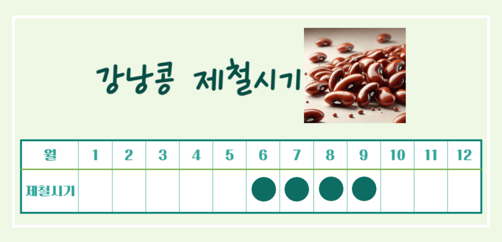 하루 한줌의 건강! 강낭콩 효능 칼로리 : 몸에 주는 7가지 이점