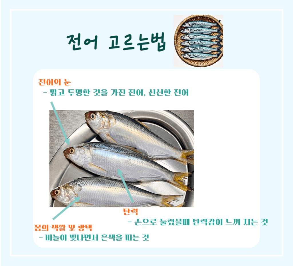 가을 보양식 은빛 전어 효능&칼로리: 맛과 영양가득 가을 별미