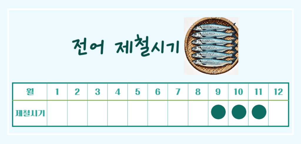 가을 보양식 은빛 전어 효능&칼로리: 맛과 영양가득 가을 별미