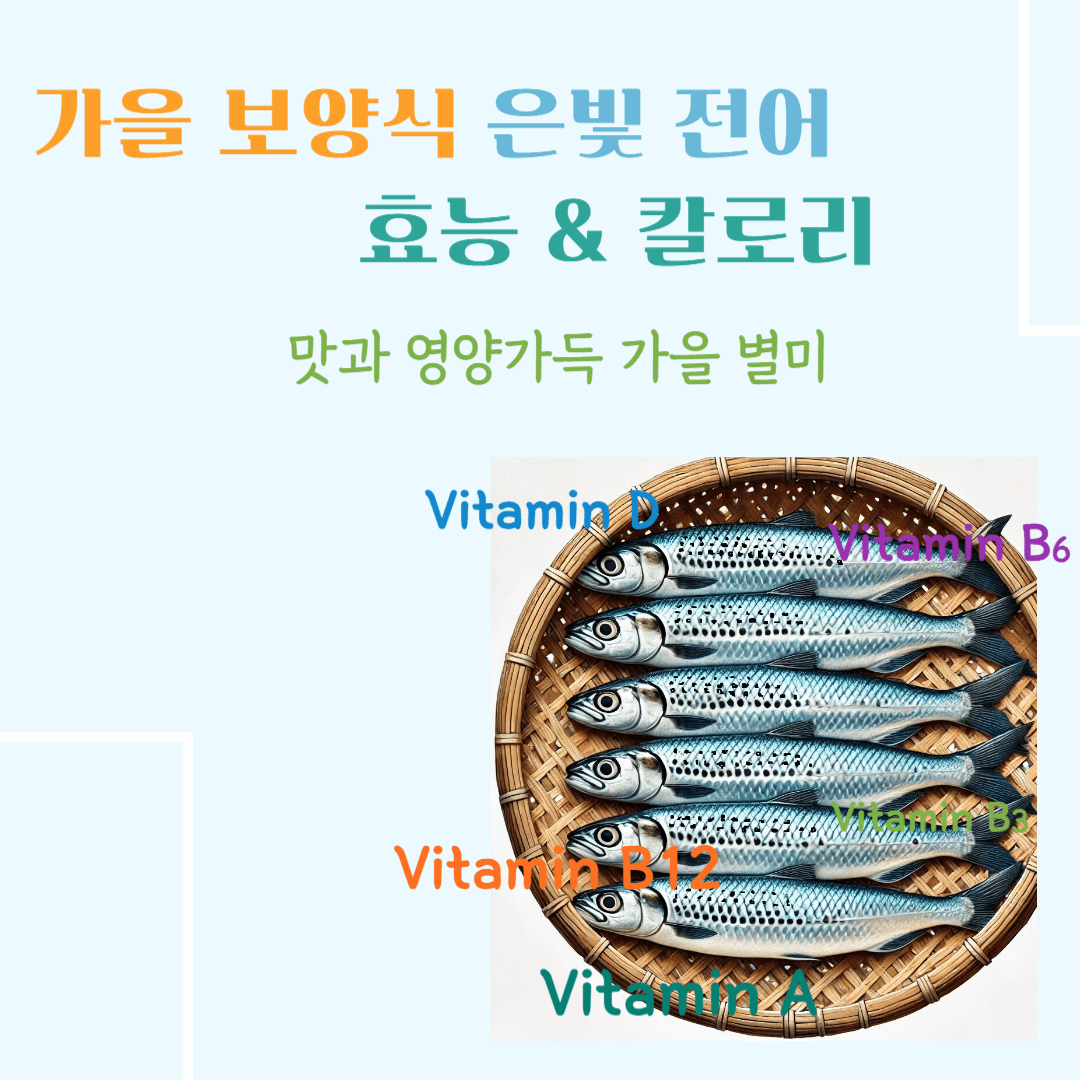 가을 보양식 은빛 전어 효능&칼로리: 맛과 영양가득 가을 별미