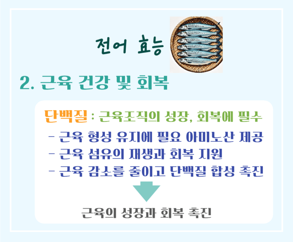 가을 보양식 은빛 전어 효능&칼로리: 맛과 영양가득 가을 별미