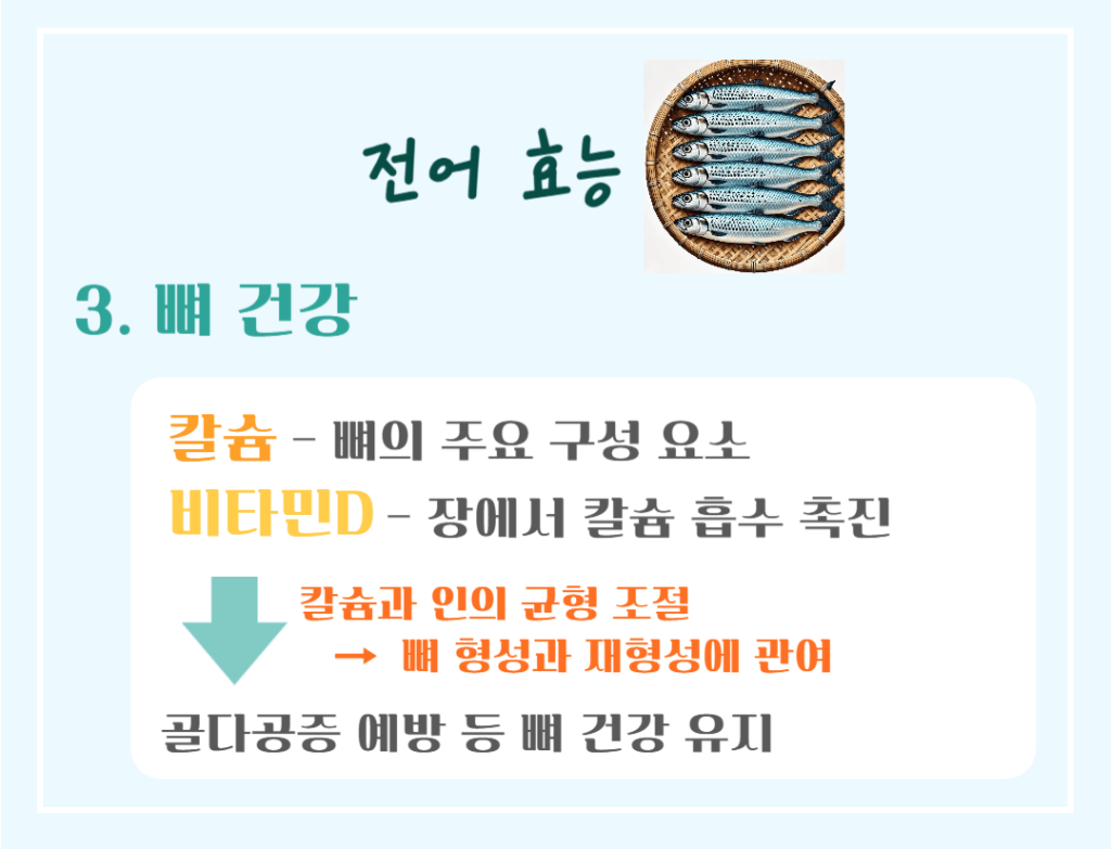 가을 보양식 은빛 전어 효능&칼로리: 맛과 영양가득 가을 별미