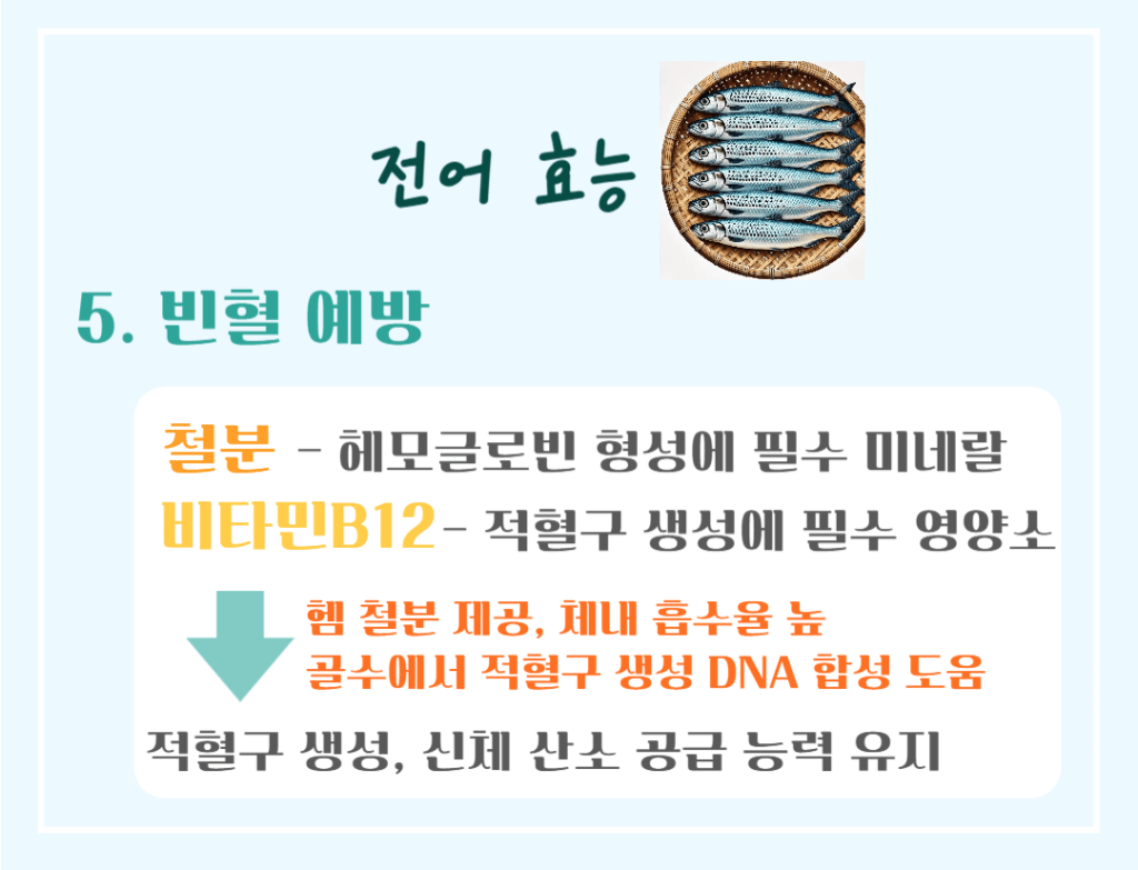 가을 보양식 은빛 전어 효능&칼로리: 맛과 영양가득 가을 별미