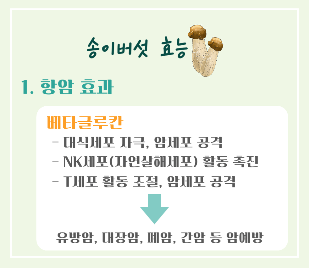 가을 숲의 진한향 송이버섯 효능 & 칼로리 : 제철 미식가의 건강한 선택