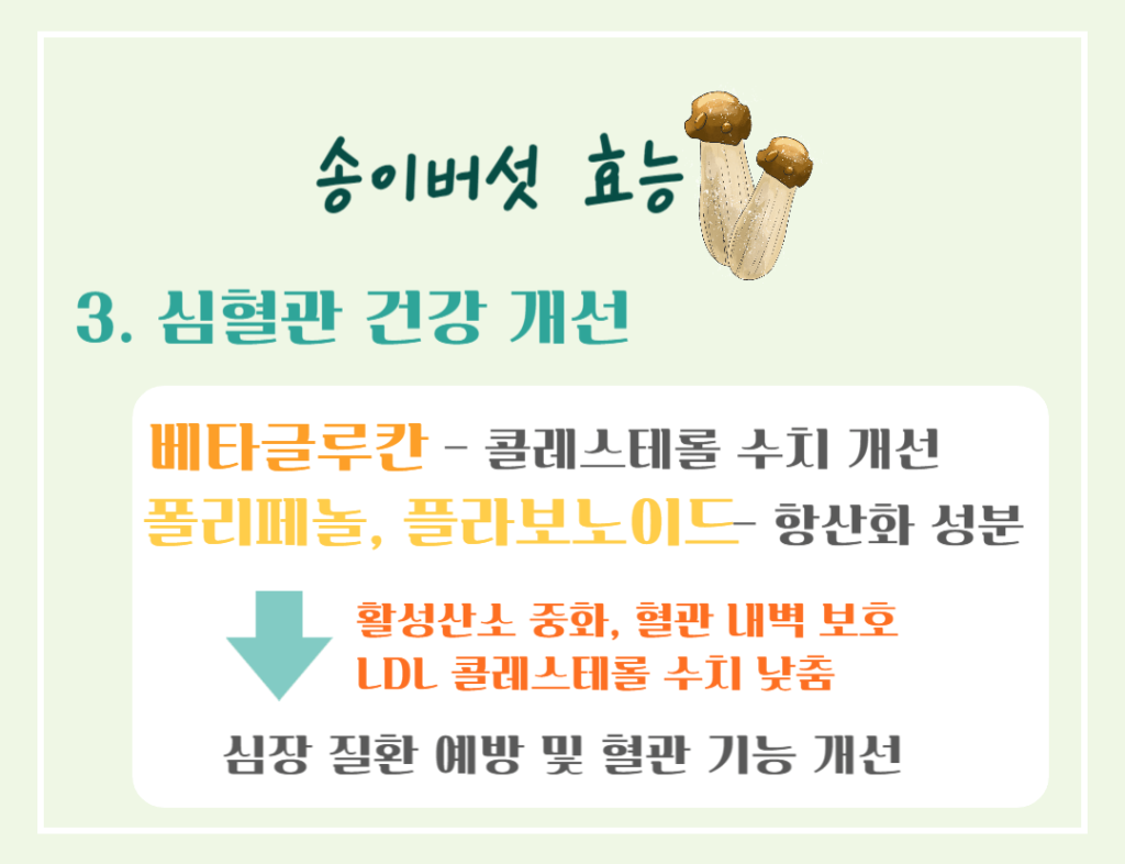 가을 숲의 진한향 송이버섯 효능 & 칼로리 : 제철 미식가의 건강한 선택