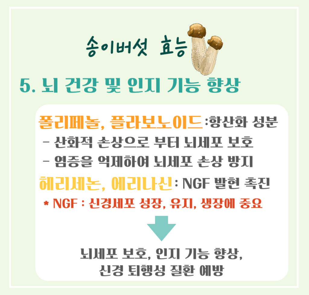 가을 숲의 진한향 송이버섯 효능 & 칼로리 : 제철 미식가의 건강한 선택