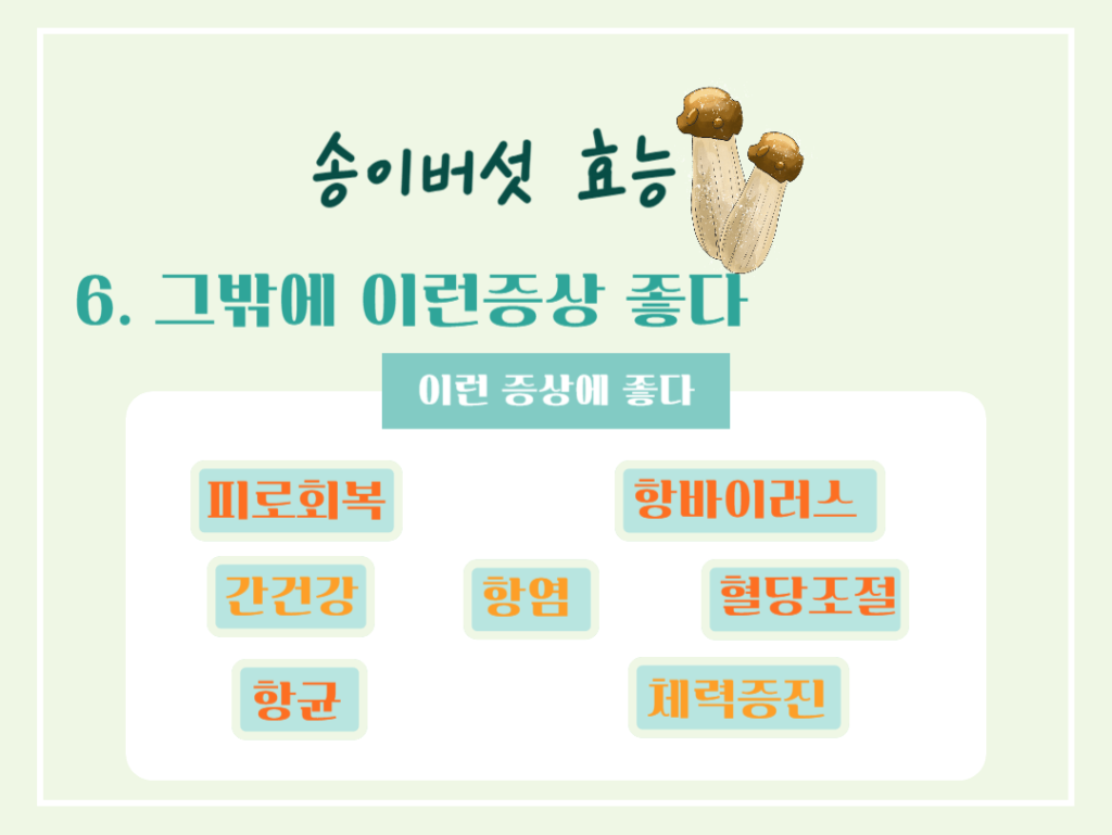 가을 숲의 진한향 송이버섯 효능 & 칼로리 : 제철 미식가의 건강한 선택