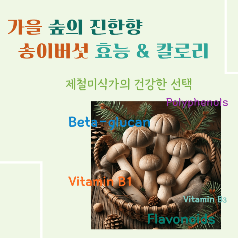 가을 숲의 진한향 송이버섯 효능 & 칼로리 : 제철 미식가의 건강한 선택
