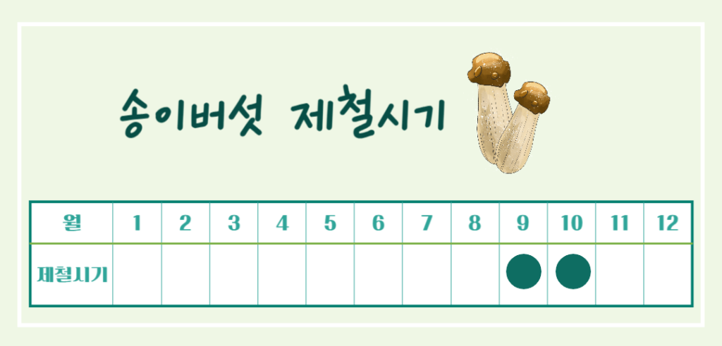 가을 숲의 진한향 송이버섯 효능 & 칼로리 : 제철 미식가의 건강한 선택