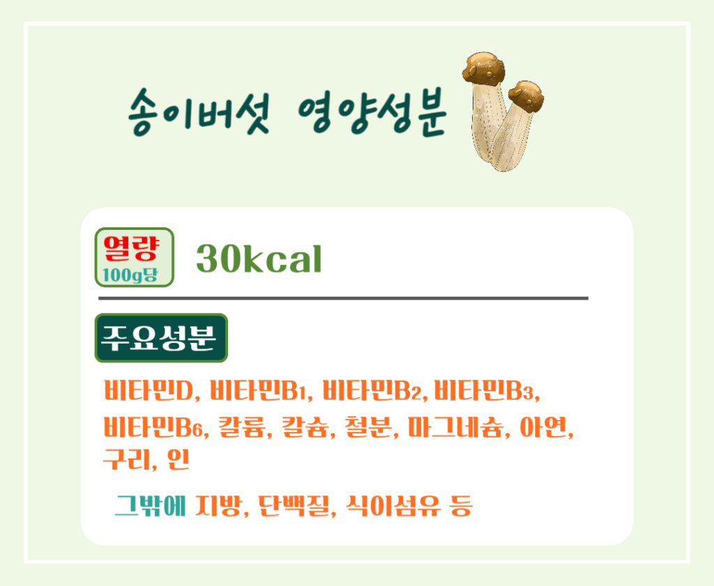 가을 숲의 진한향 송이버섯 효능 & 칼로리 : 제철 미식가의 건강한 선택