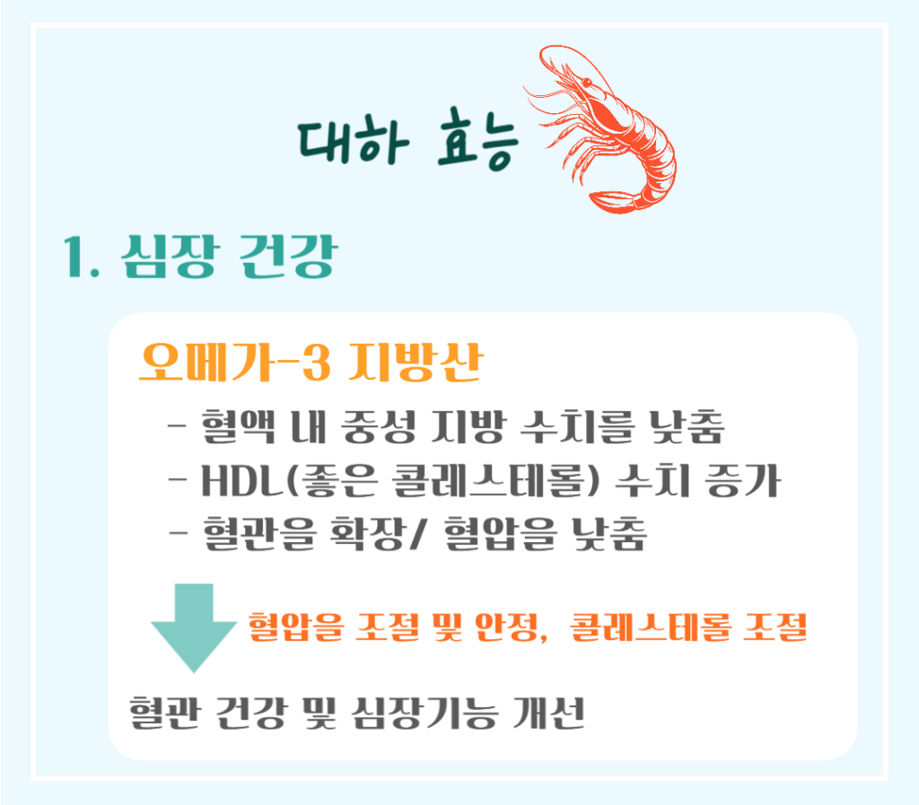 가을철 건강 보물! 대하 효능 & 칼로리 : 저칼로리 고단백 슈퍼푸드