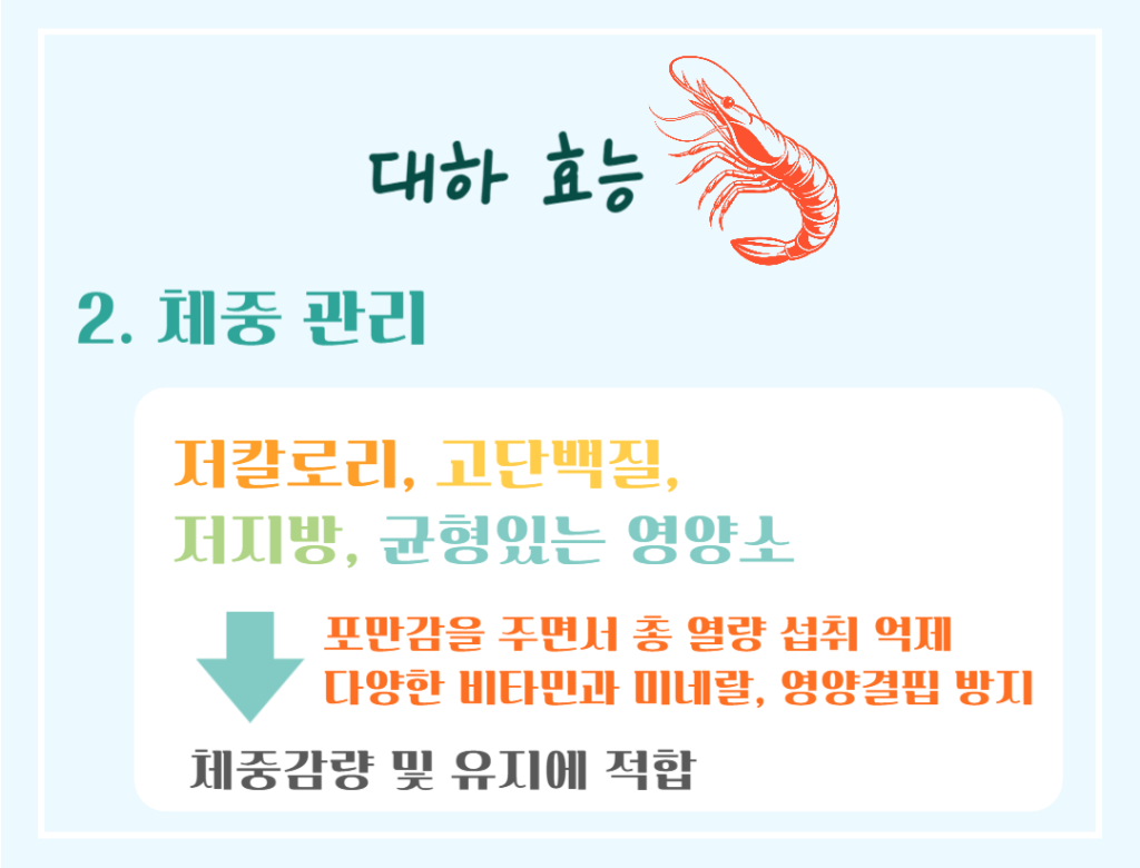 가을철 건강 보물! 대하 효능 & 칼로리 : 저칼로리 고단백 슈퍼푸드