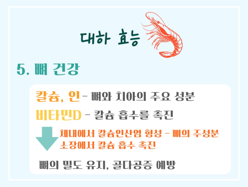 가을철 건강 보물! 대하 효능 & 칼로리 : 저칼로리 고단백 슈퍼푸드