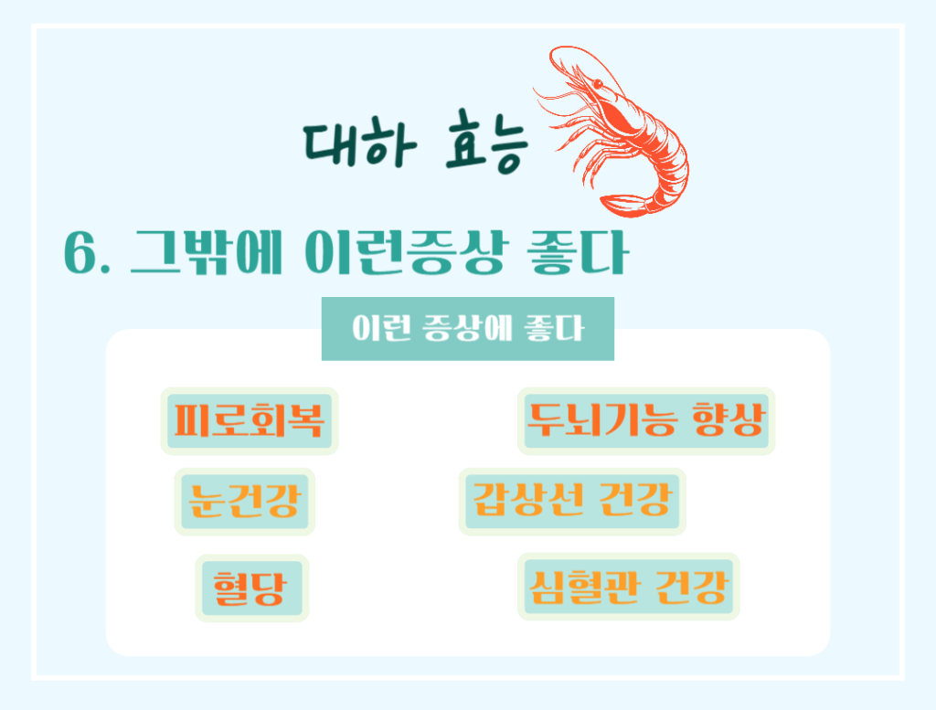 가을철 건강 보물! 대하 효능 & 칼로리 : 저칼로리 고단백 슈퍼푸드