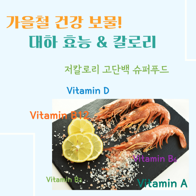 가을철 건강 보물! 대하 효능 & 칼로리 : 저칼로리 고단백 슈퍼푸드