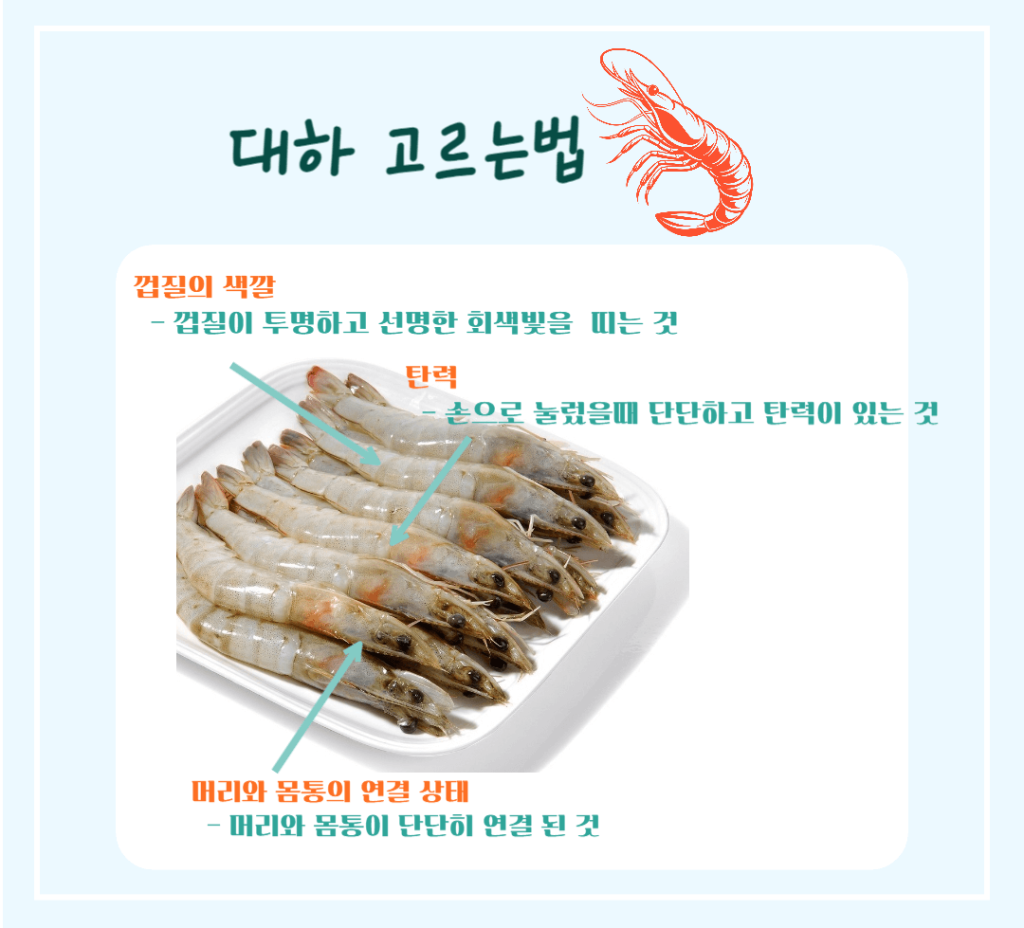 가을철 건강 보물! 대하 효능 & 칼로리 : 저칼로리 고단백 슈퍼푸드