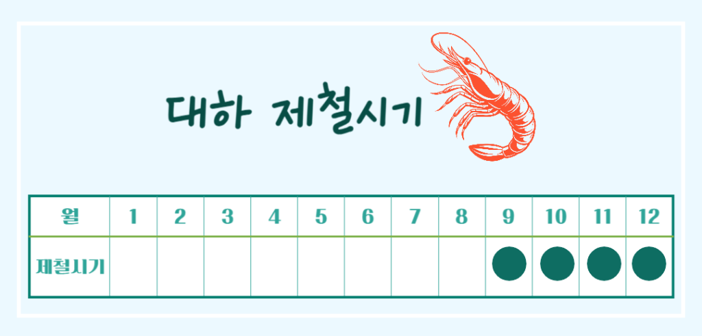 가을철 건강 보물! 대하 효능 & 칼로리 : 저칼로리 고단백 슈퍼푸드