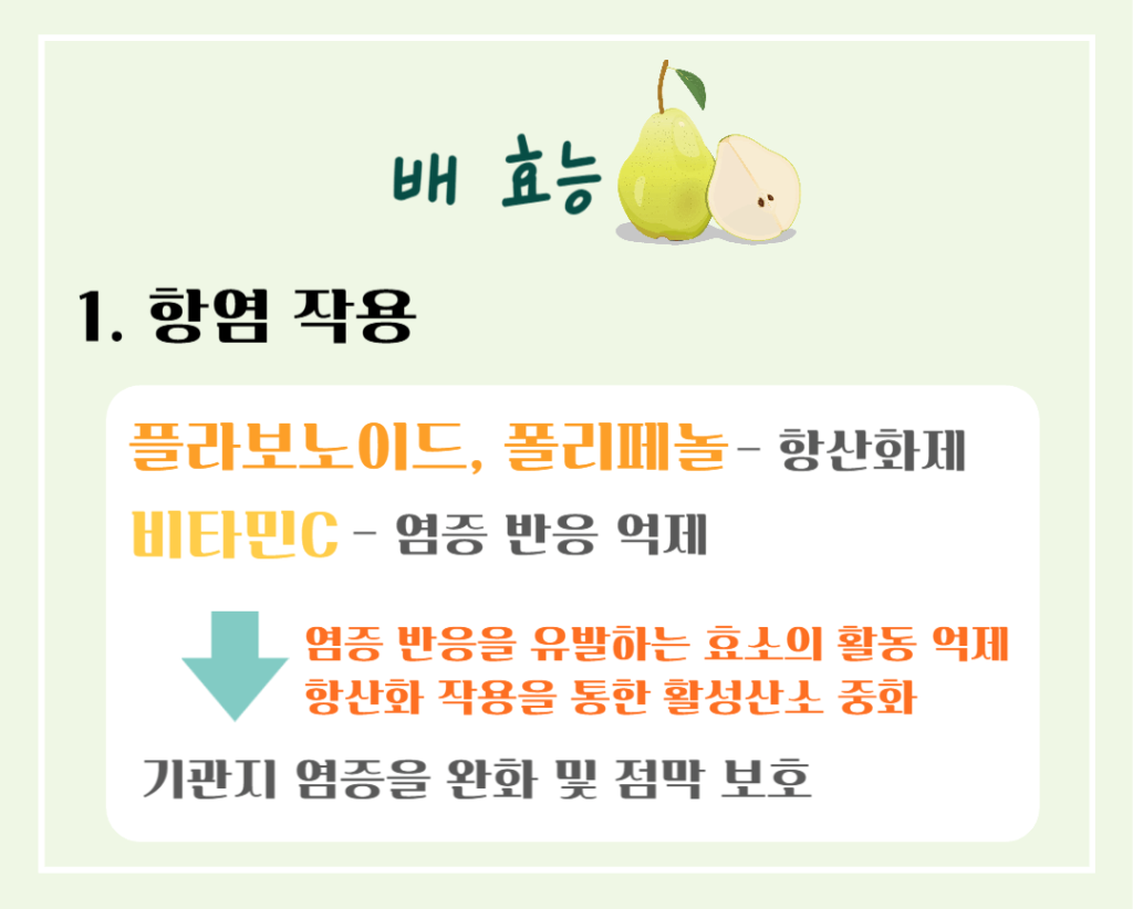 기관지를 위한 상쾌한 호흡! 배의 효능 & 칼로리 : 기관지에 좋은 가을 과일