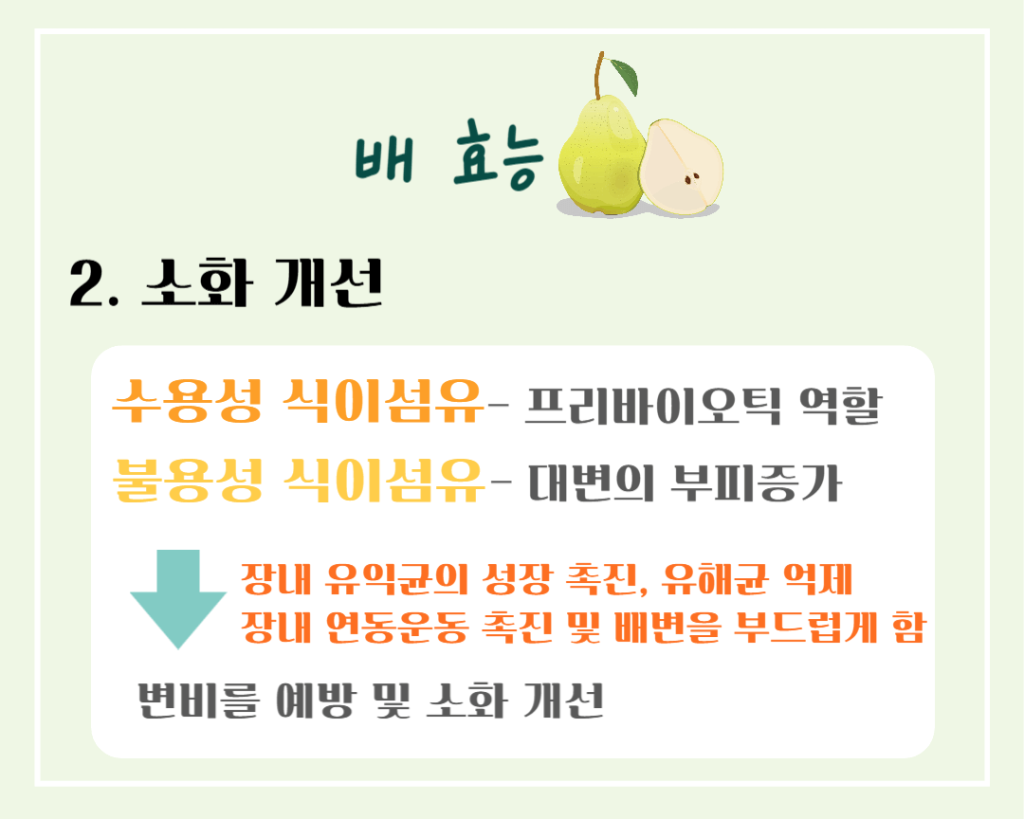 기관지를 위한 상쾌한 호흡! 배의 효능 & 칼로리 : 기관지에 좋은 가을 과일