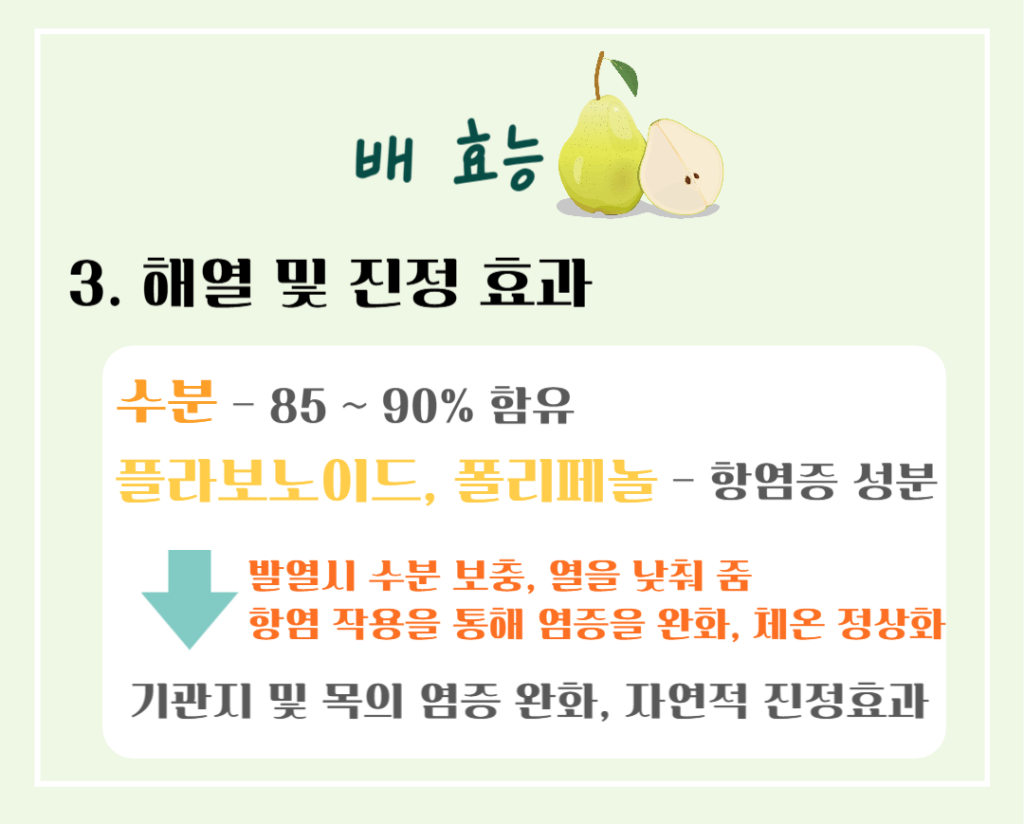 기관지를 위한 상쾌한 호흡! 배의 효능 & 칼로리 : 기관지에 좋은 가을 과일