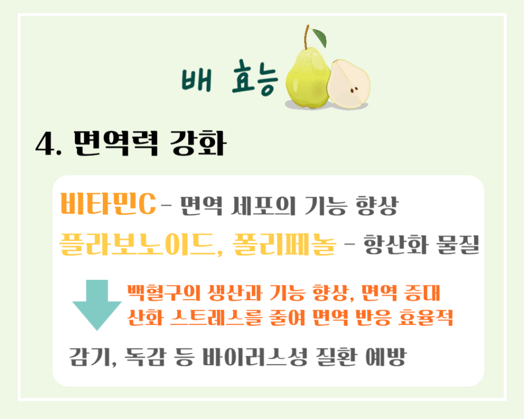 기관지를 위한 상쾌한 호흡! 배의 효능 & 칼로리 : 기관지에 좋은 가을 과일