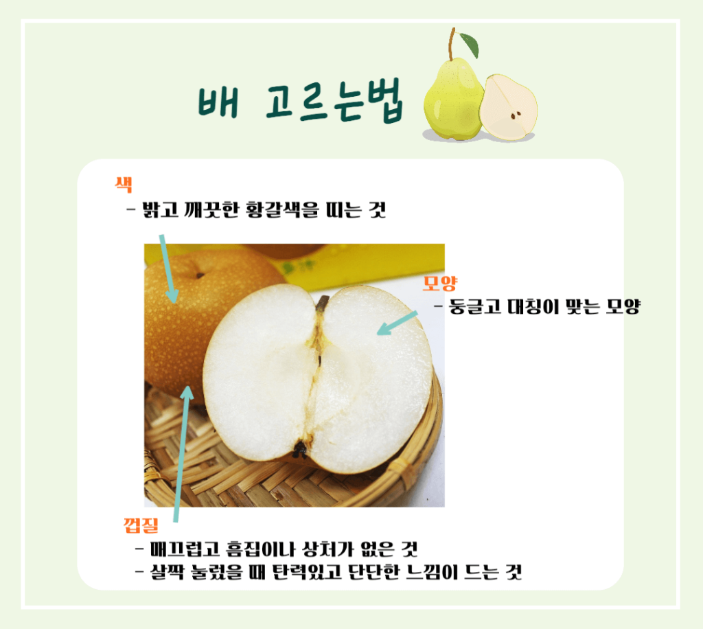 기관지를 위한 상쾌한 호흡! 배의 효능 & 칼로리 : 기관지에 좋은 가을 과일