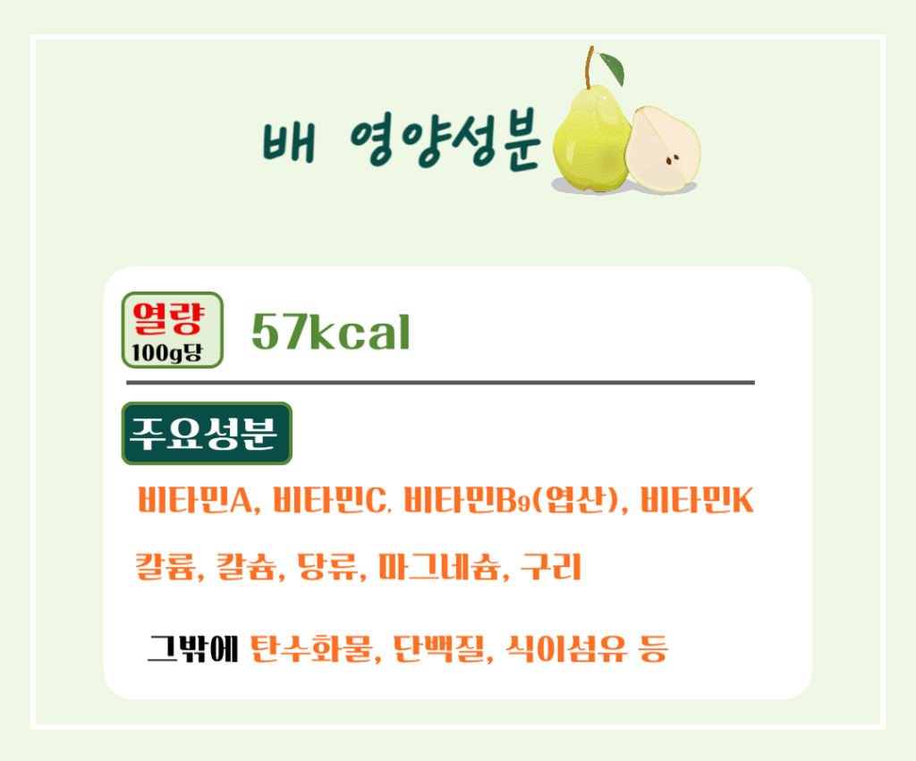 기관지를 위한 상쾌한 호흡! 배의 효능 & 칼로리 : 기관지에 좋은 가을 과일