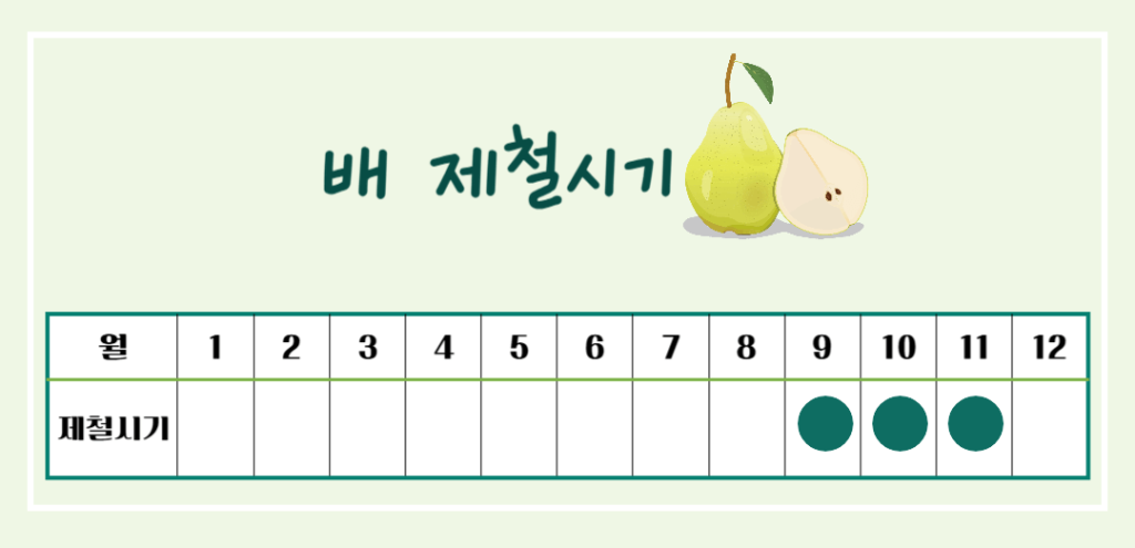 기관지를 위한 상쾌한 호흡! 배의 효능 & 칼로리 : 기관지에 좋은 가을 과일