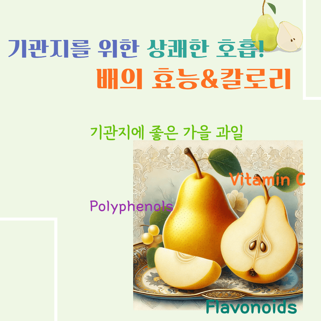 기관지를 위한 상쾌한 호흡! 배의 효능 & 칼로리 : 기관지에 좋은 가을 과일