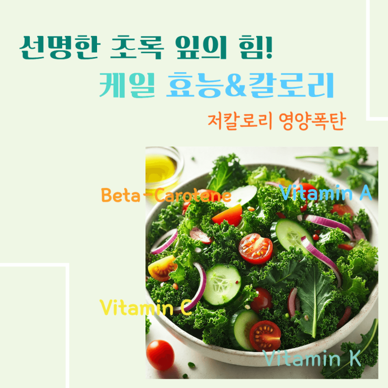 선명한 초록 잎의 힘! 케일 효능 & 칼로리 : 저칼로리 영양폭탄