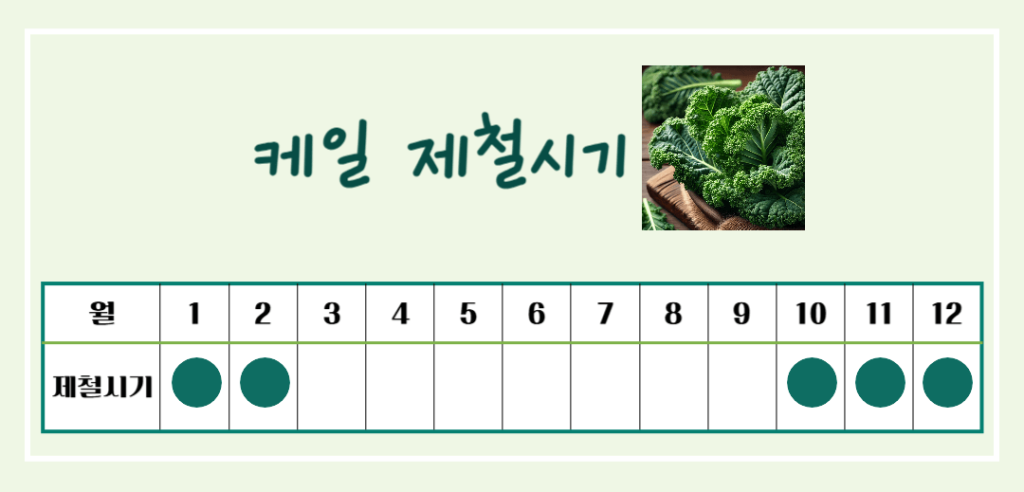 선명한 초록 잎의 힘! 케일 효능 & 칼로리 : 저칼로리 영양폭탄