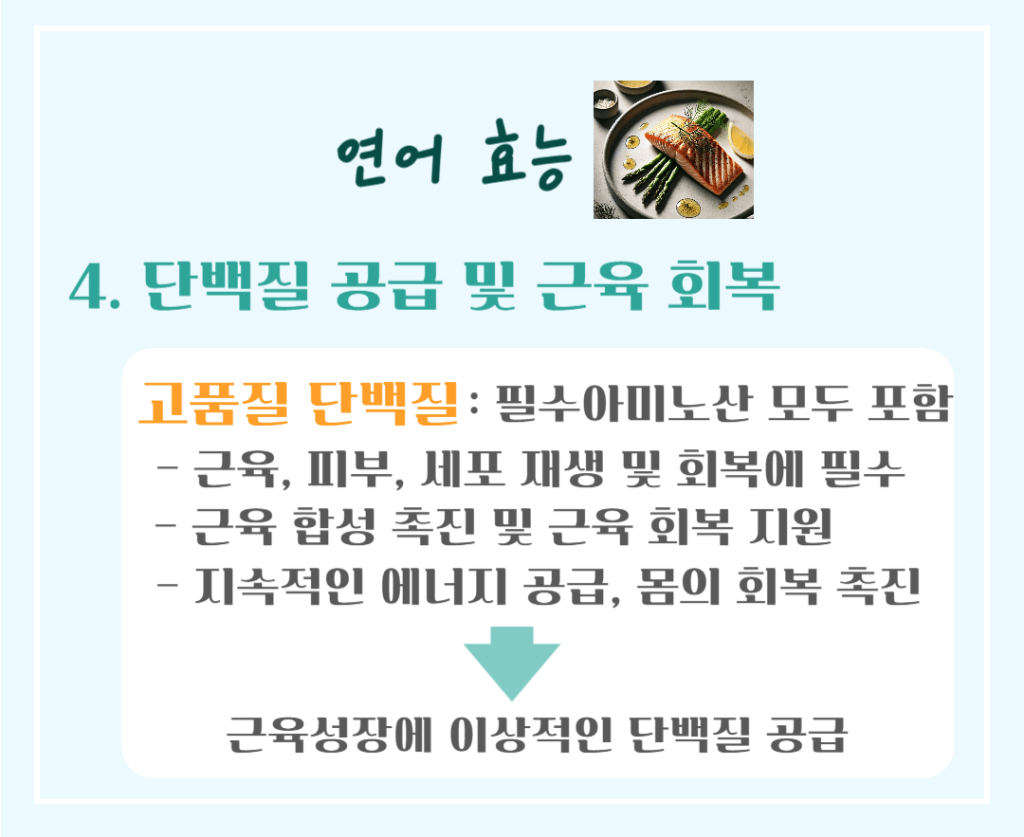 오메가-3의 보고! 연어 효능 & 칼로리 : 관절건강을 지키는 슈퍼푸드