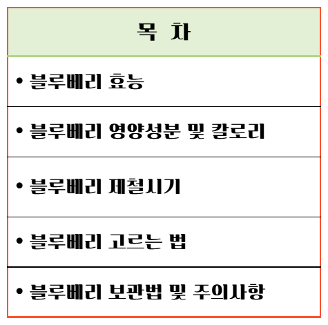 푸른빛 보석 블루베리 효능 & 칼로리 : 항산화 슈퍼푸드의 비밀