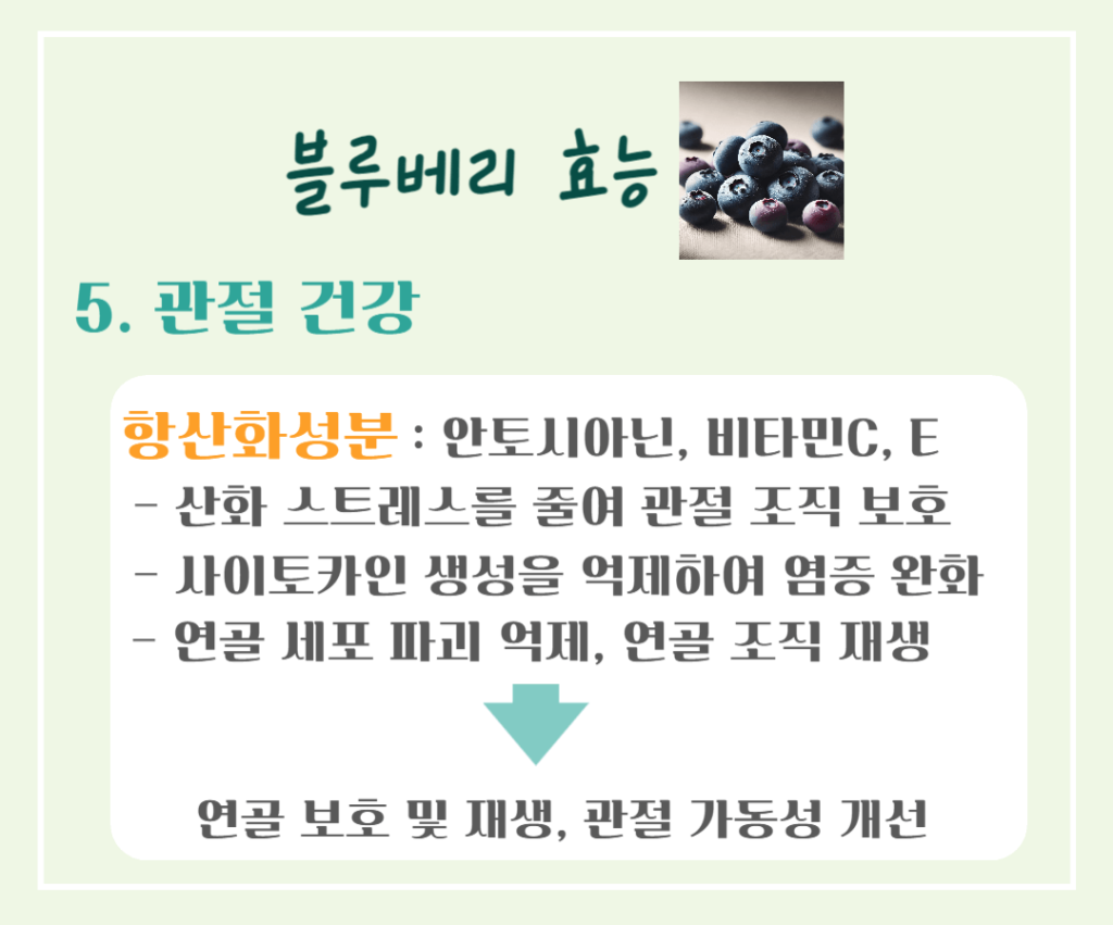 푸른빛 보석 블루베리 효능 & 칼로리 : 항산화 슈퍼푸드의 비밀