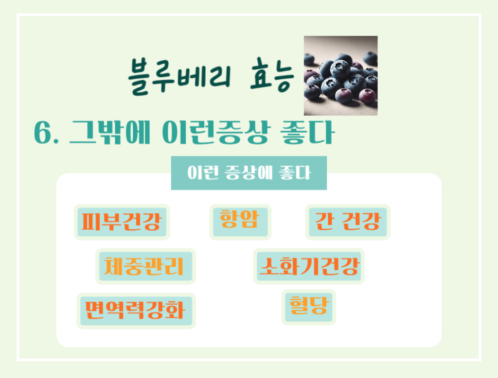 푸른빛 보석 블루베리 효능 & 칼로리 : 항산화 슈퍼푸드의 비밀