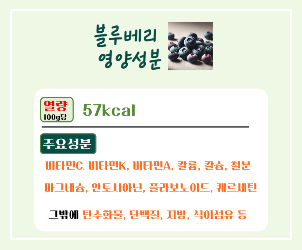 푸른빛 보석 블루베리 효능 & 칼로리 : 항산화 슈퍼푸드의 비밀