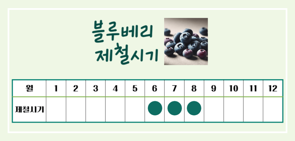 푸른빛 보석 블루베리 효능 & 칼로리 : 항산화 슈퍼푸드의 비밀