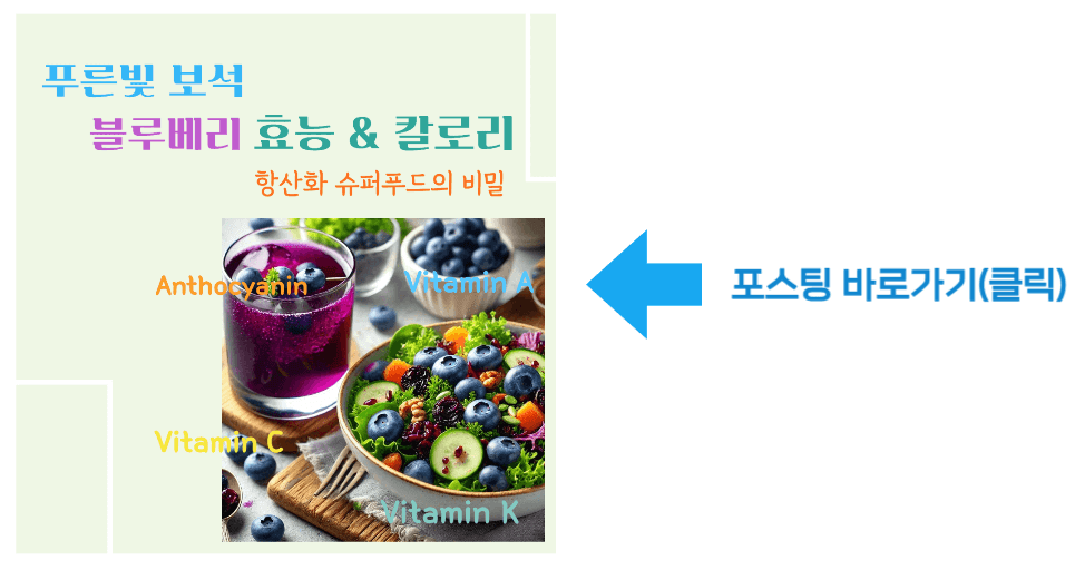 푸른빛 보석 블루베리 효능 & 칼로리. 항산화 슈퍼푸드의 비밀 바로가기