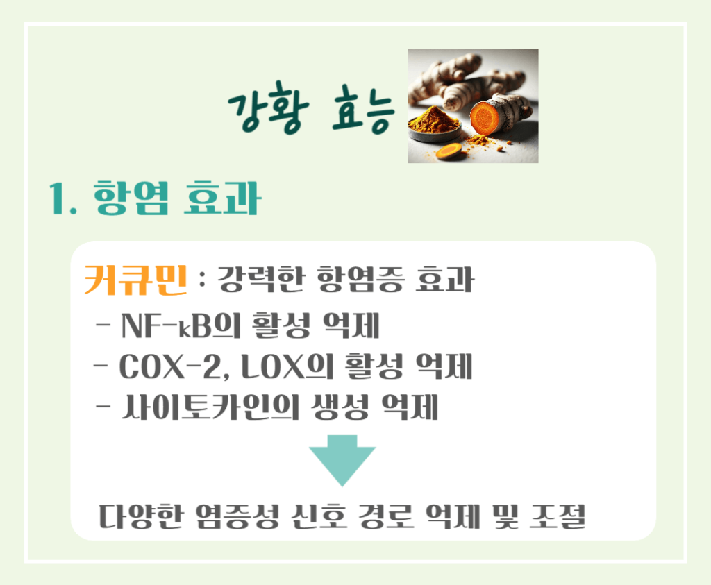 황금빛 슈퍼푸드! 강황의 효능 & 칼로리 : 커큐민의 놀라운 비밀