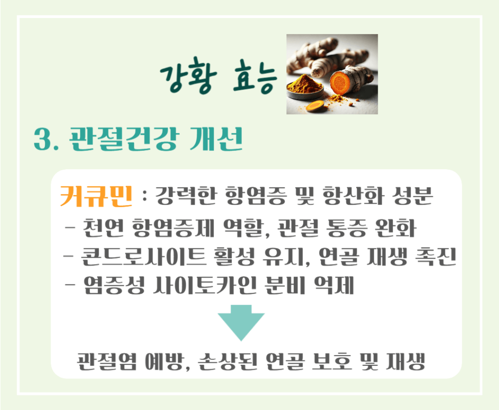 황금빛 슈퍼푸드! 강황의 효능 & 칼로리 : 커큐민의 놀라운 비밀