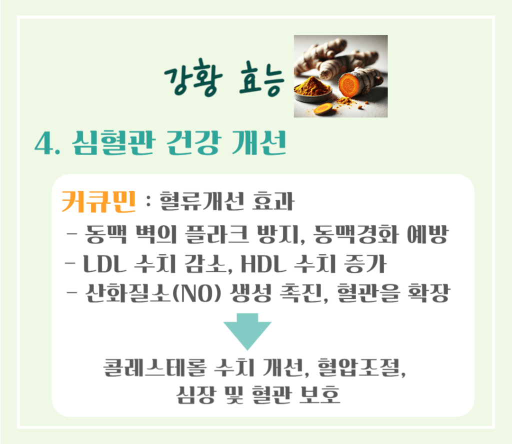 황금빛 슈퍼푸드! 강황의 효능 & 칼로리 : 커큐민의 놀라운 비밀